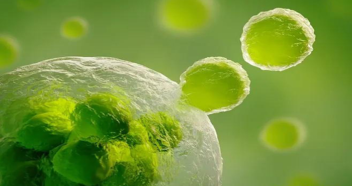 水处理5.2细胞破碎